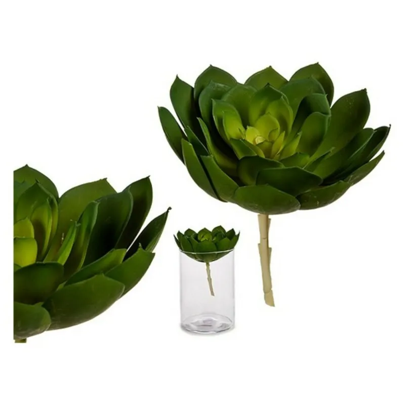 Dekoratiivne Taim Ibergarden YD180138 Plastmass