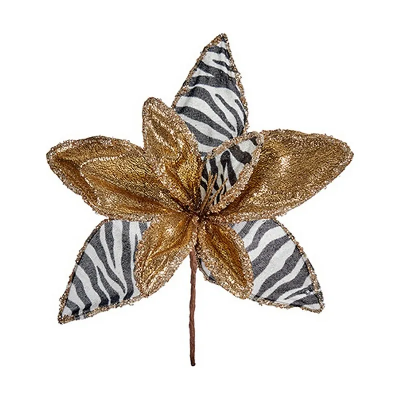 Dekoratyvinė gėlė Krist+ Kalėdos Zebras
