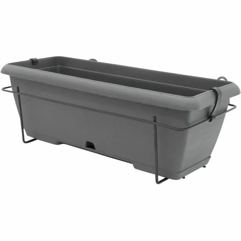 Sodinukas Garden ID Antracito Akmens efektas 50 cm