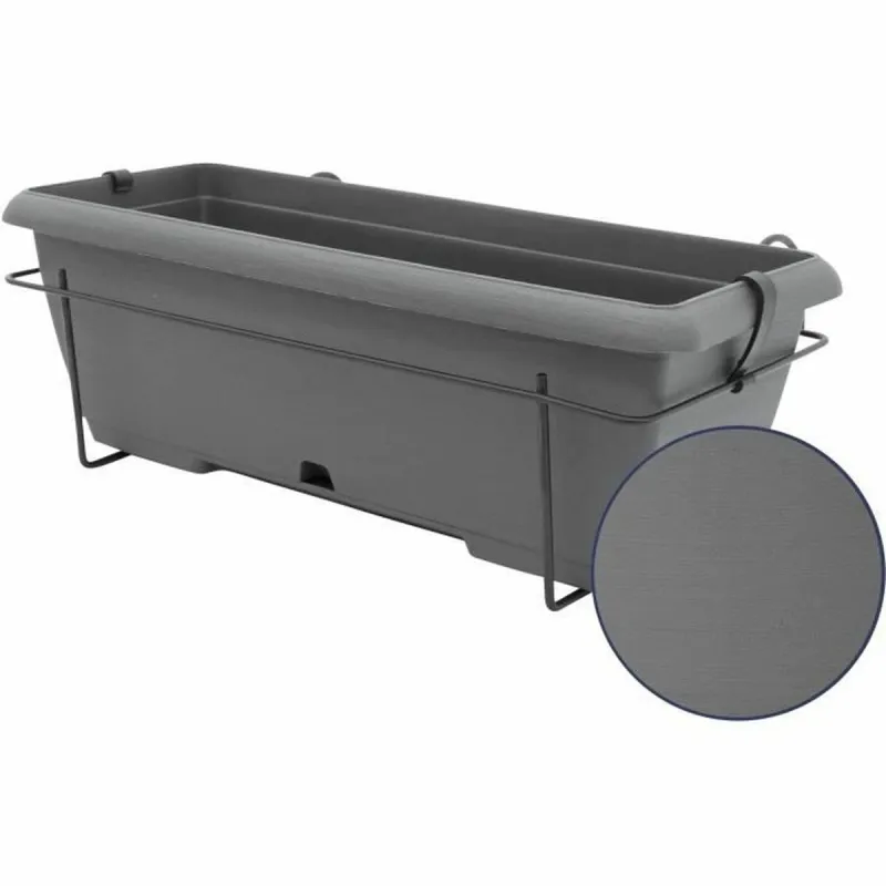 Sodinukas Garden ID Antracito Akmens efektas 50 cm