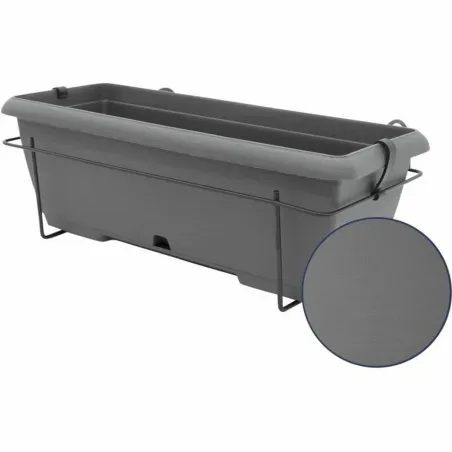 Sodinukas Garden ID Antracito Akmens efektas 50 cm