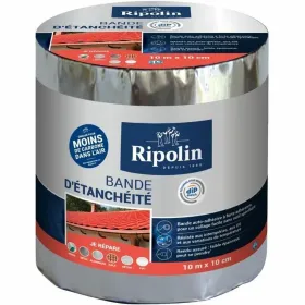 Gruntinis Dažai Ripolin