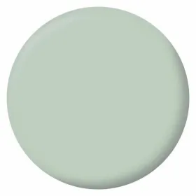 Primer Paint Ripolin Vert 2,5 L Matt