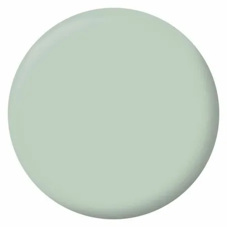 Primer Paint Ripolin Vert 2,5 L Matt