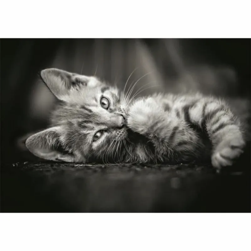 Palapeli Clementoni Kitty 1000 Kappaletta