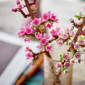 Konstruktsioon komplekt Lego 40725 Creator Cherry Blossoms Mitmevärviline