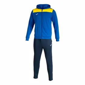 Children’s Tracksuit Joma Sport PhoenIX II 2 Pieces