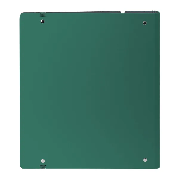 Rengaskansio Safta Dark green