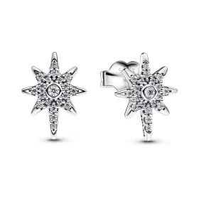 Женские серьги Pandora 293587C01 Серебристый