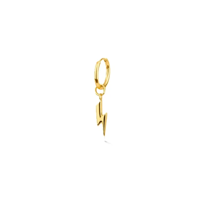 Серьги Radiant RH000164 Позолоченный Мужской 1 штук