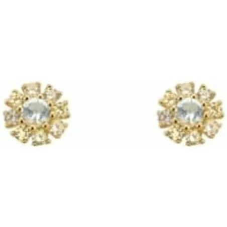 Ladies' Earrings 24KAE Metal
