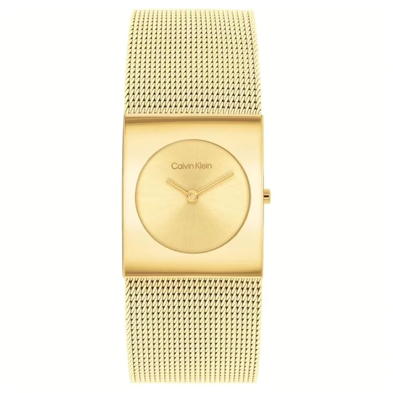 Мужские часы Calvin Klein 1693551