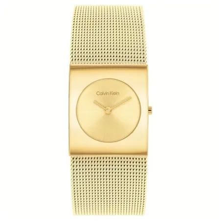 Men's Watch Calvin Klein 1693551