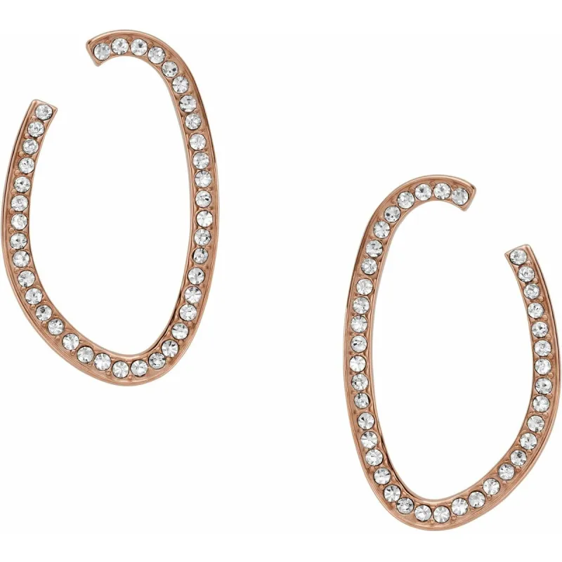 Ladies' Earrings Skagen SKJ1504791 Golden