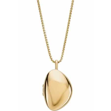 Ladies' Pendant Skagen SKJ1752710 Golden