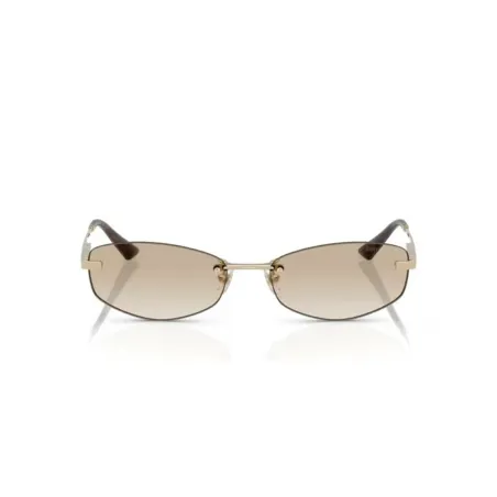 Sieviešu Saulesbrilles Jimmy Choo JC 4013D