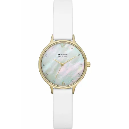 Laikrodis moterims Skagen SKW3138