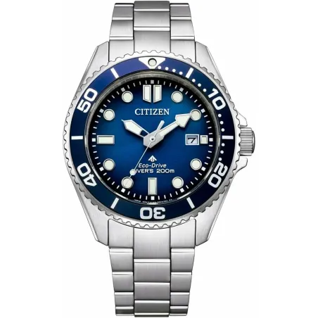 Мужские часы Citizen BN0260-54L