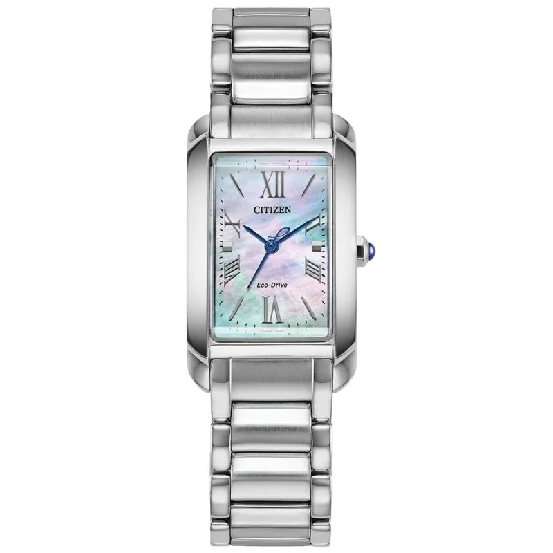 Мужские часы Citizen EW5620-55N Серебристый
