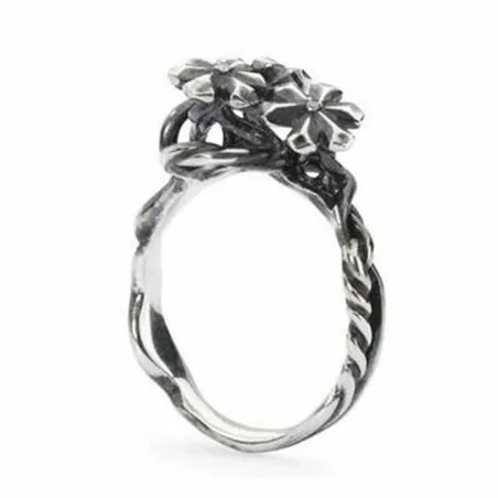 Naisten sormus Trollbeads TAGRI-00304 14