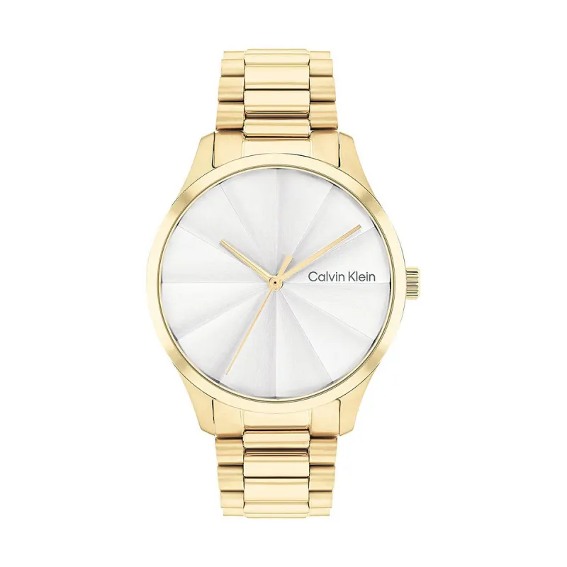Miesten rannekellot Calvin Klein 25200232