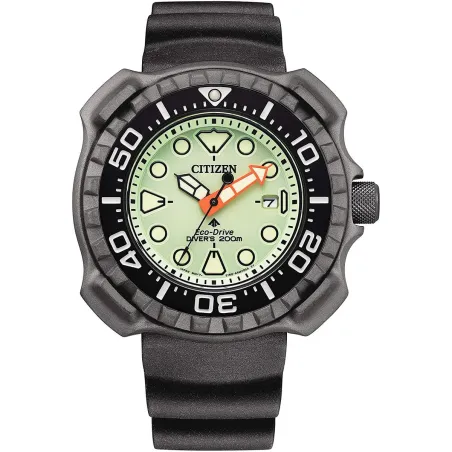Мужские часы Citizen BN0227-17X