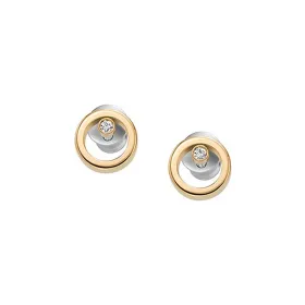 Ladies' Earrings Skagen SKJB1008710