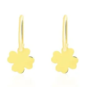 Ladies' Earrings Stroili 14099373