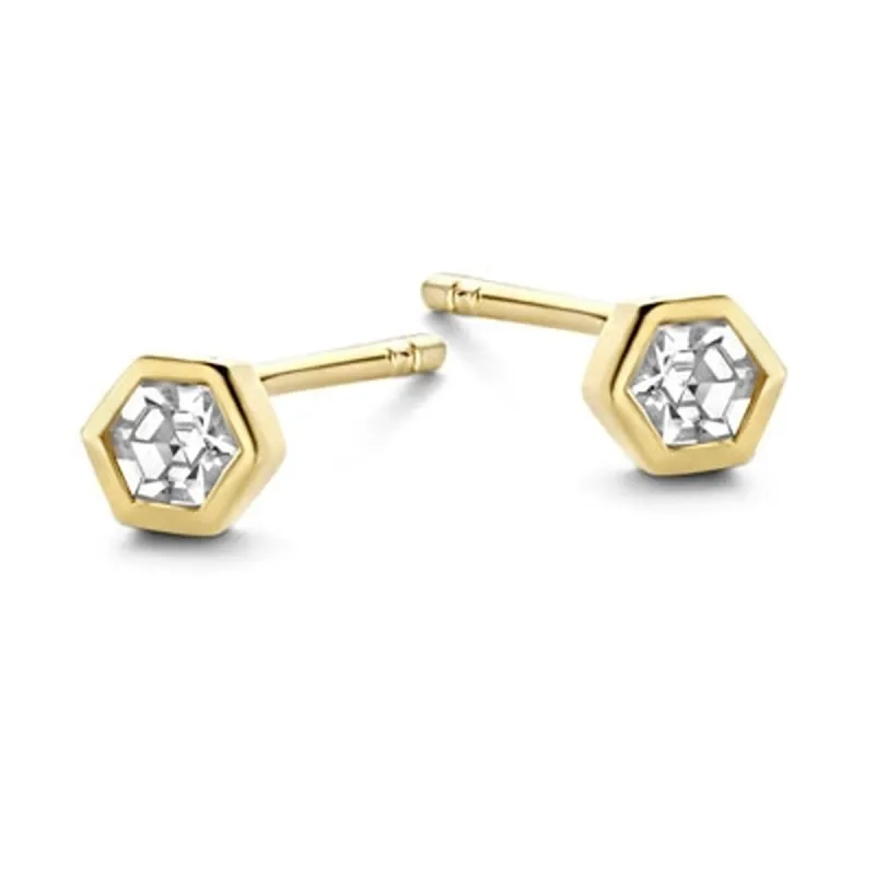 Moteriški auskarai New Bling 9NB-0549