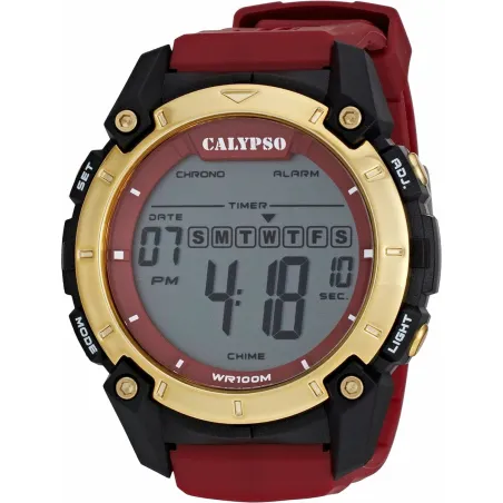 Мужские часы Calypso K5814/3