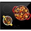 Induction Hot Plate Oceanic
