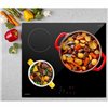 Induction Hot Plate Oceanic