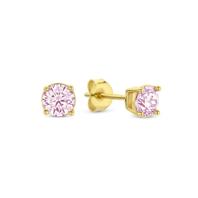 Sieviešu Auskari New Bling HIN00336 Bronza