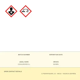 Dezinfekavimo priemonė Zotal Fungicidas Dezodorantas (415 ml)