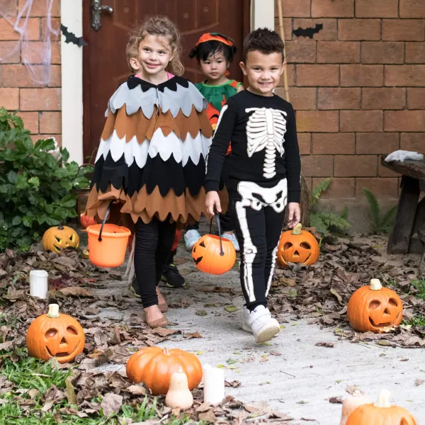 Halloweeni kaunistus Springos HA5231 17cm