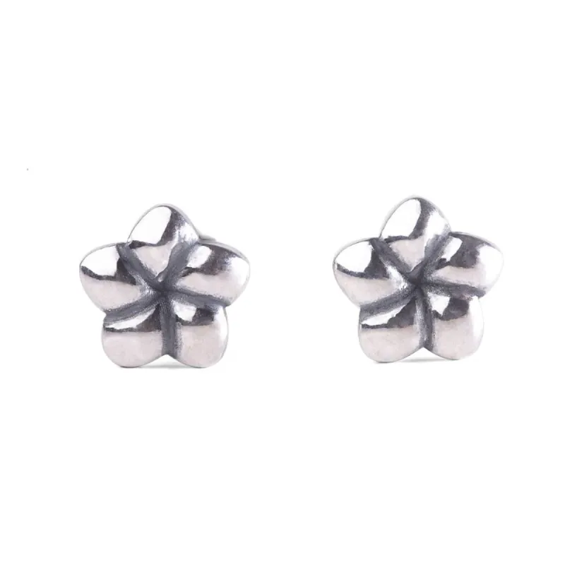 Naisten korvakorut Trollbeads TAGEA-00111
