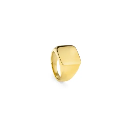 Miesten sormus Radiant RH000027-24 24