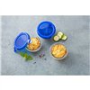 Food Preservation Container Pyrex