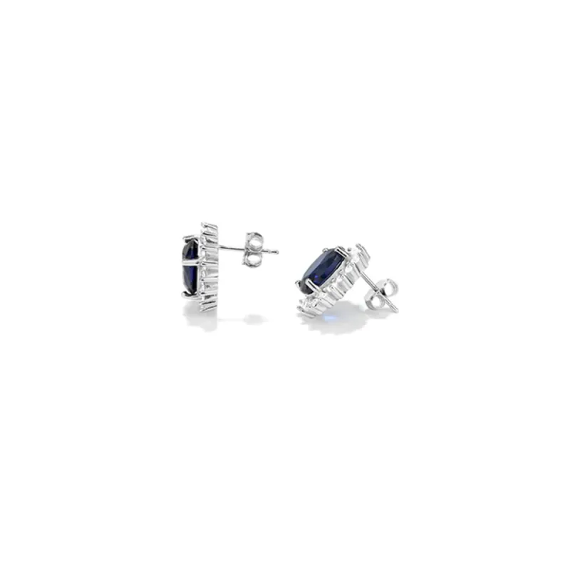 Ladies' Earrings Radiant RY000168 Blue