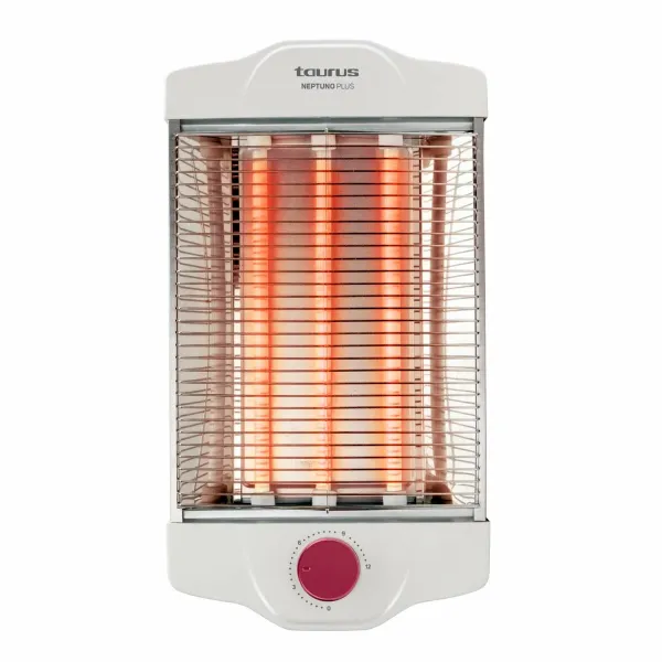 Röster Taurus Neptuno Plus 900 W