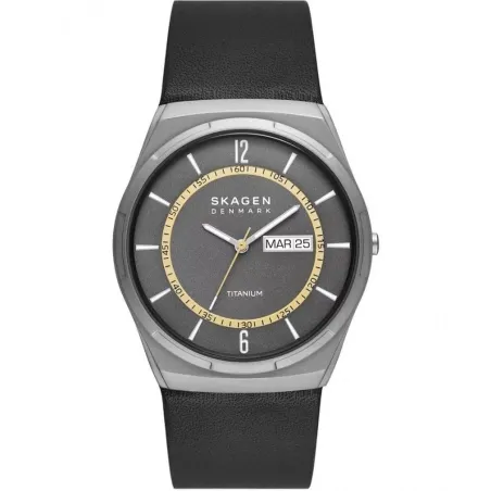 Мужские часы Skagen MELBYE TITANIUM (Ø 43 mm)