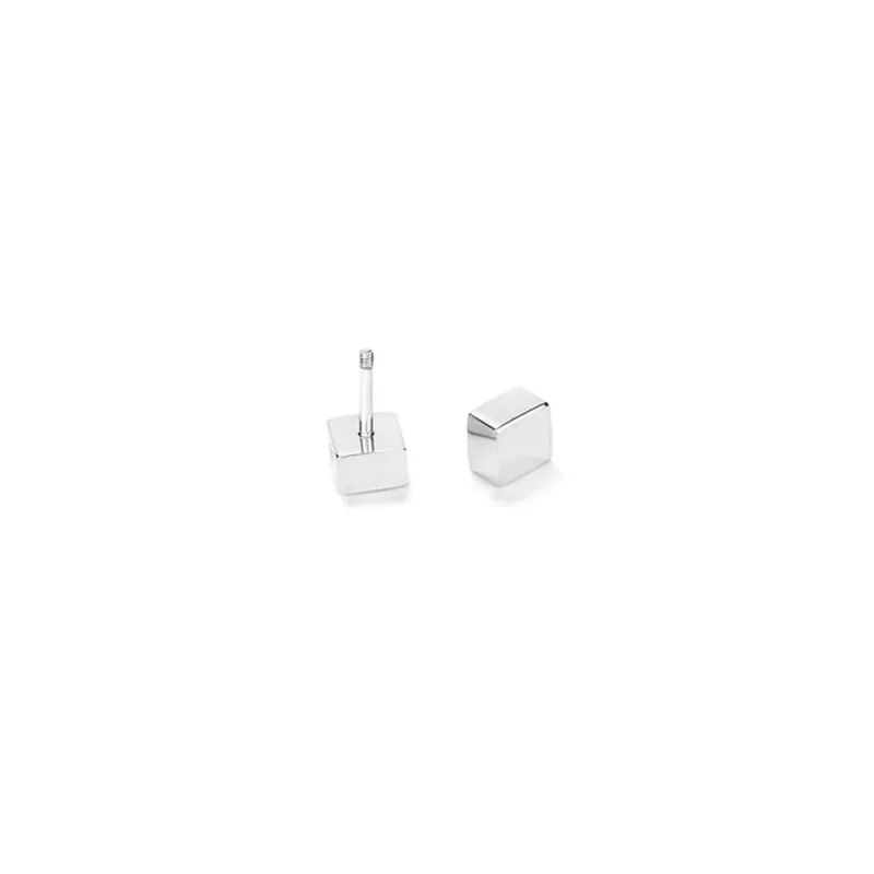 Ladies' Earrings Radiant RH000153