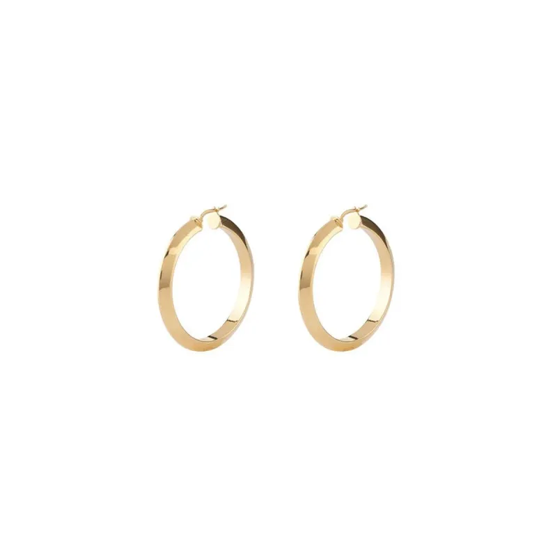 Moteriški auskarai Guess JUBE04194JWYGT-U