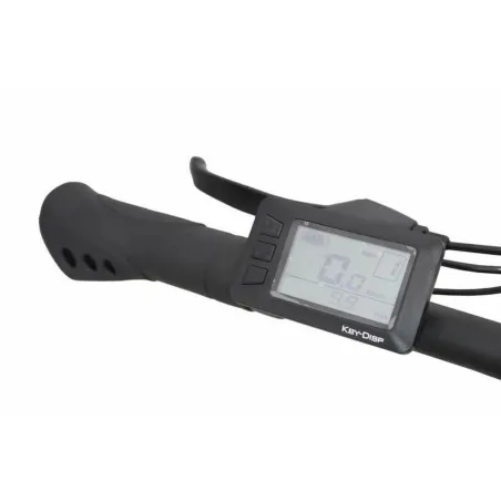Elektrinis dviratis Alfa Romeo FULL Juoda 250 W 13000 mAh 29"