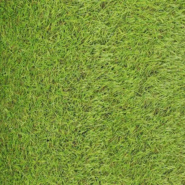 Dirbtinė žolė Springos GA0046 plotis: 2m x 1m