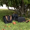 Cool Bag Quid Dynamic Lunchbox Black 20 x 13 x 20 cm