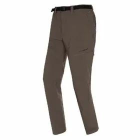 Puuvilja ja Juurvilja Koorja Quid Ozon Roheline Metall 11 cm (12 Ühikut)