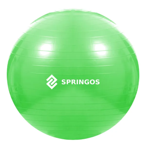 Võimlemispall pumbaga Springos FB0007 65cm