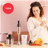 Hand-held Blender Solac BA5618