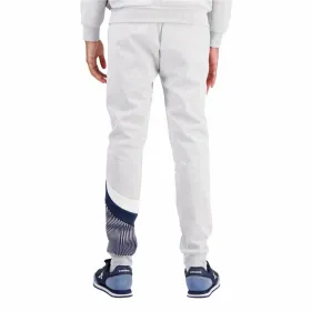 Pieaugušo Sporta Tērpu Bikses Le coq sportif Heritage SliN°2 Hombre Pelēks Vīriešu